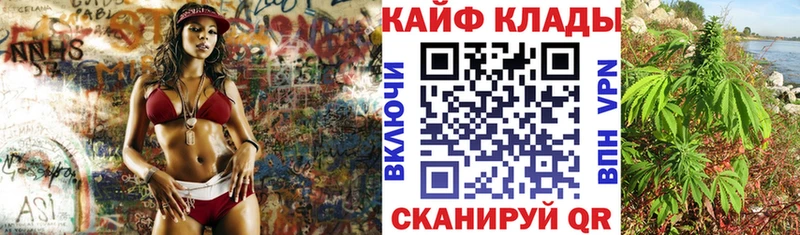 Где купить Кировград Псилоцибиновые грибы  Меф  ГАШИШ  mega зеркало  Марихуана 