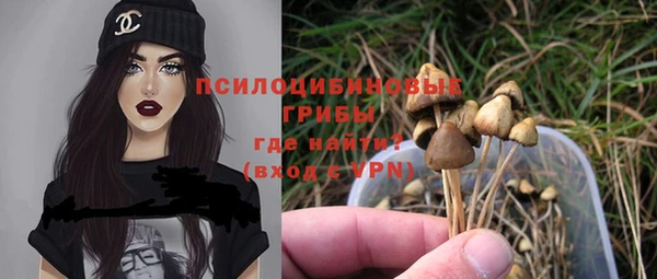 бошки Богданович