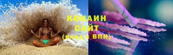 бошки Богданович