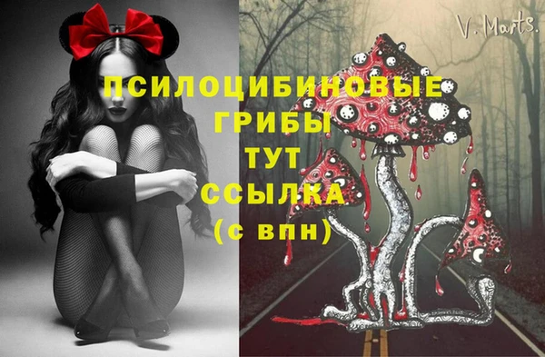 jwh Богородицк