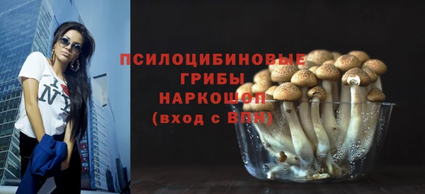 jwh Богородицк