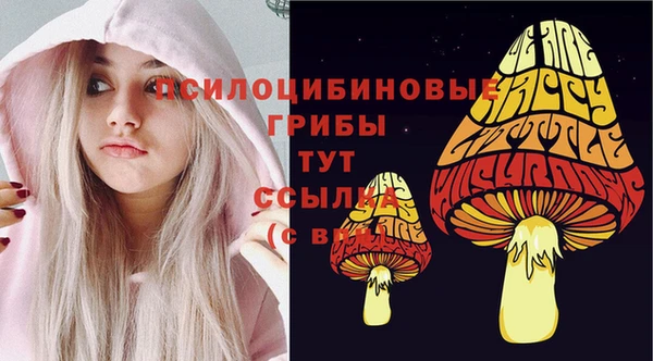 бошки Богданович