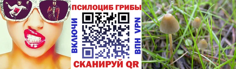 наркота  Кировград  KRAKEN ТОР  Псилоцибиновые грибы MAGIC MUSHROOMS 