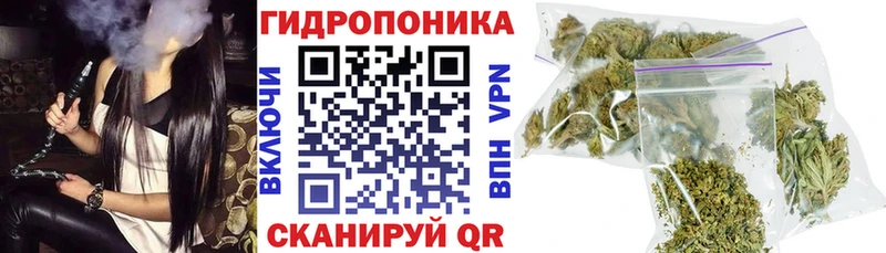 Бошки марихуана конопля  наркошоп  Кировград 